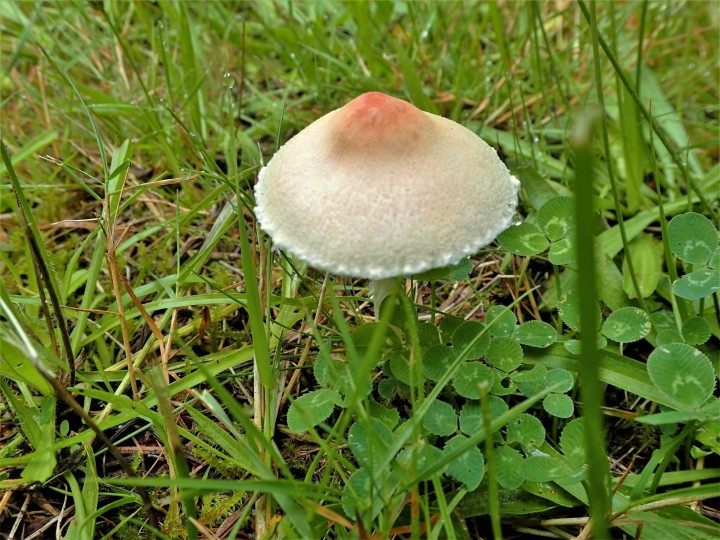 P8055325.JPG