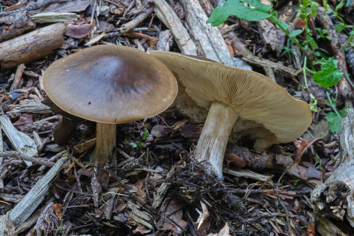DSCF1984(édité).jpg