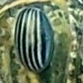 20210808_142936ter.jpg