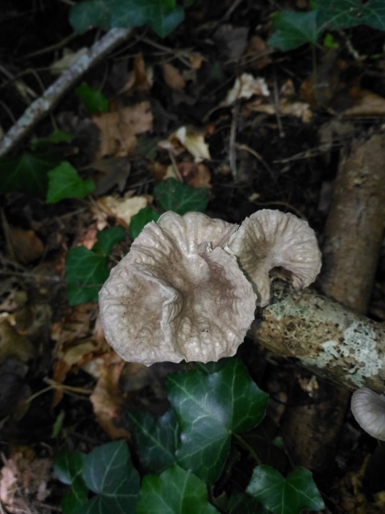 P_20210808_171636.jpg