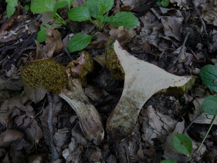 P1040623web.jpg