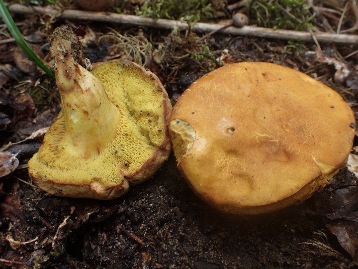 P7275027.JPG