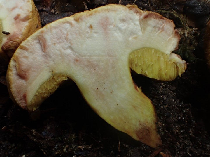 P7275030.JPG