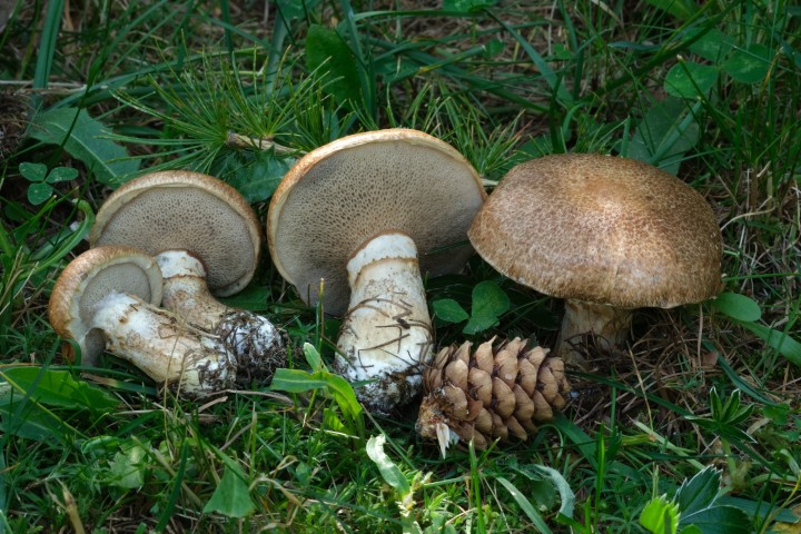 DSCF2053.JPG