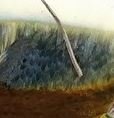 detail3.JPG