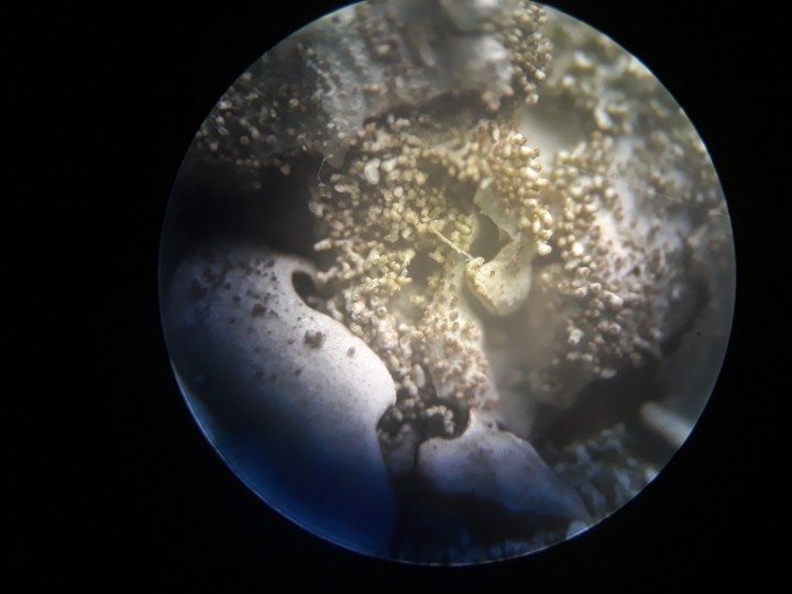 20210904_135341.jpg