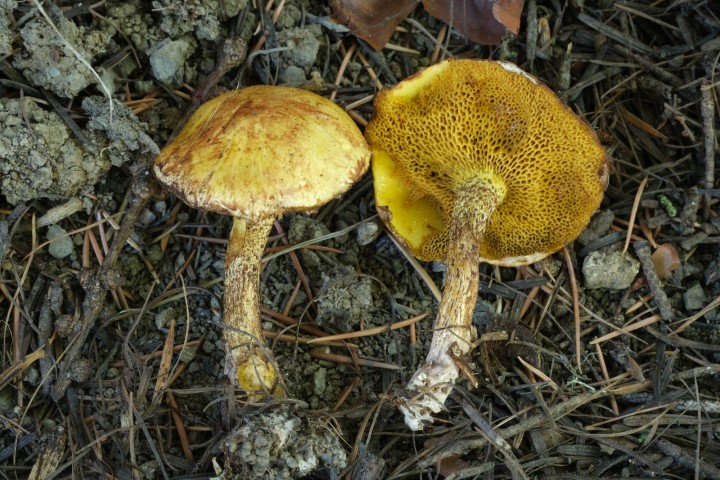 DSCF2428.JPG