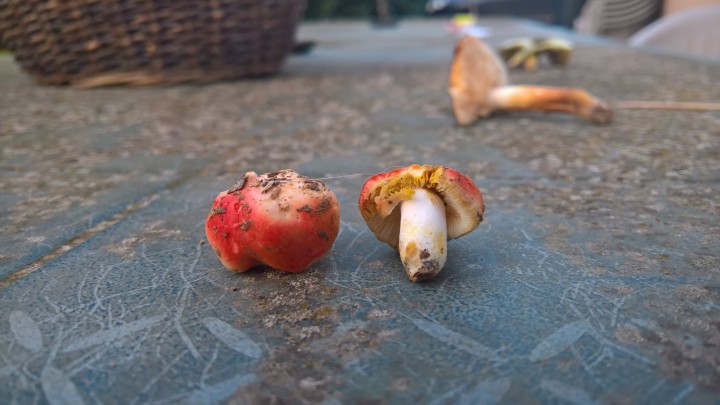 WP_20210913_19_45_42_Pro.jpg