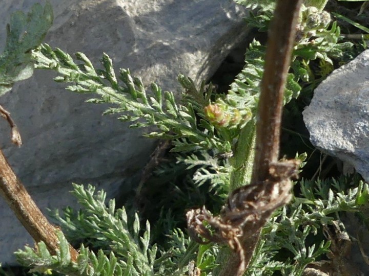 LesMenuires_2021-09-13_011_DR-2.JPG