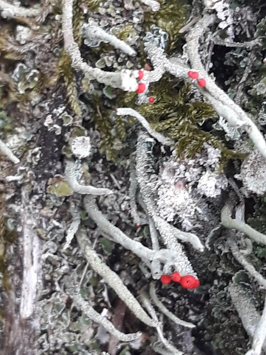 20210918_170157.jpg
