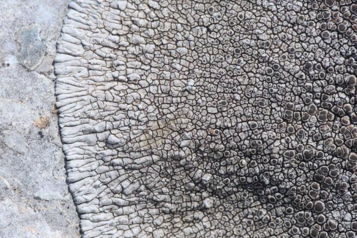 _DSC3014.jpg