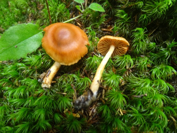 DSC01900.JPG