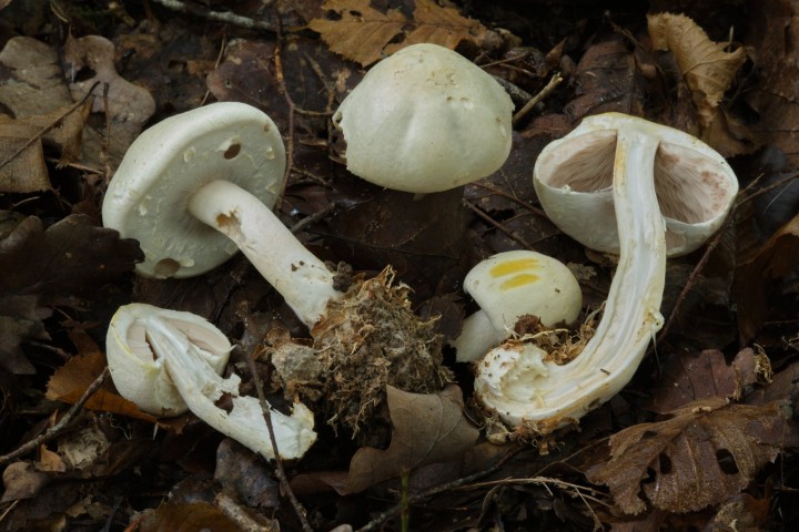 DSCF2908(édité)_2.jpg