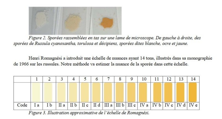 Capture d’écran 2021-10-06 135234.jpg