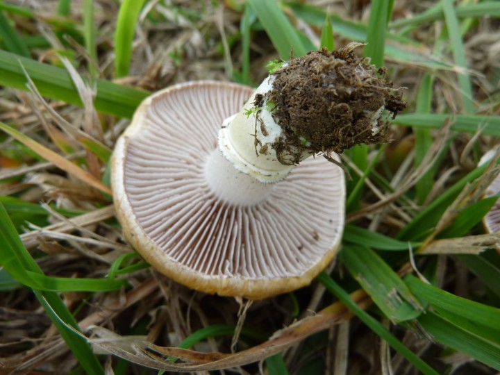 P1110739.JPG