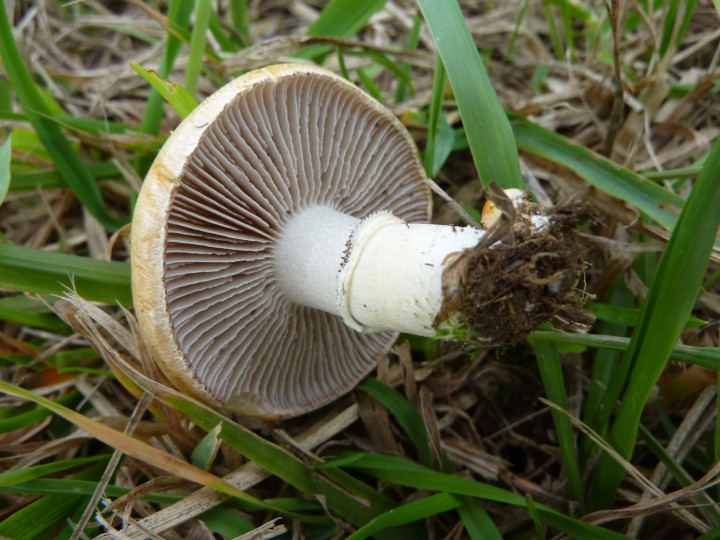 P1110740.JPG