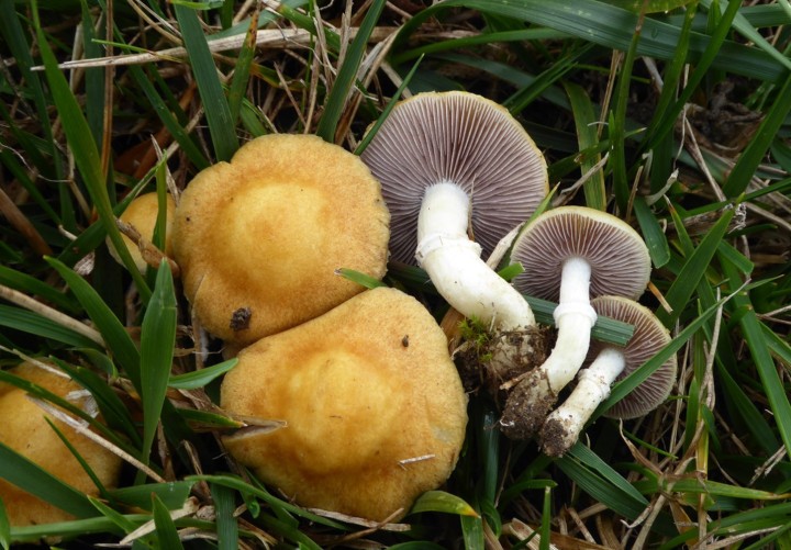 P1110711.JPG