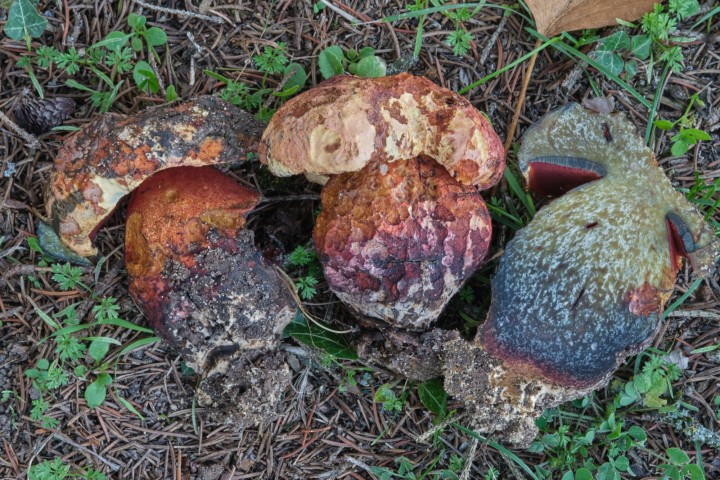 DSCF3047(édité).jpg
