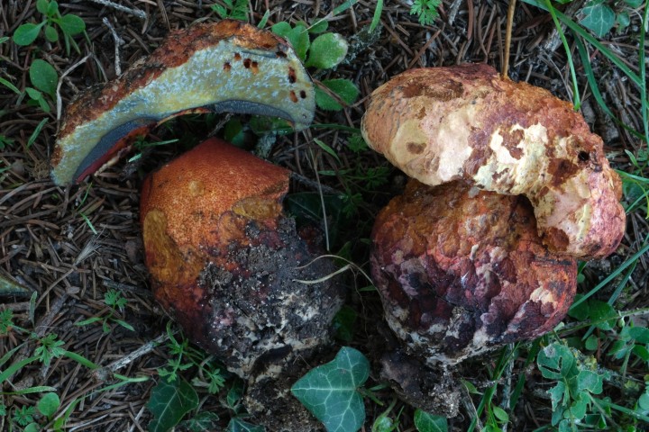 DSCF3048.JPG