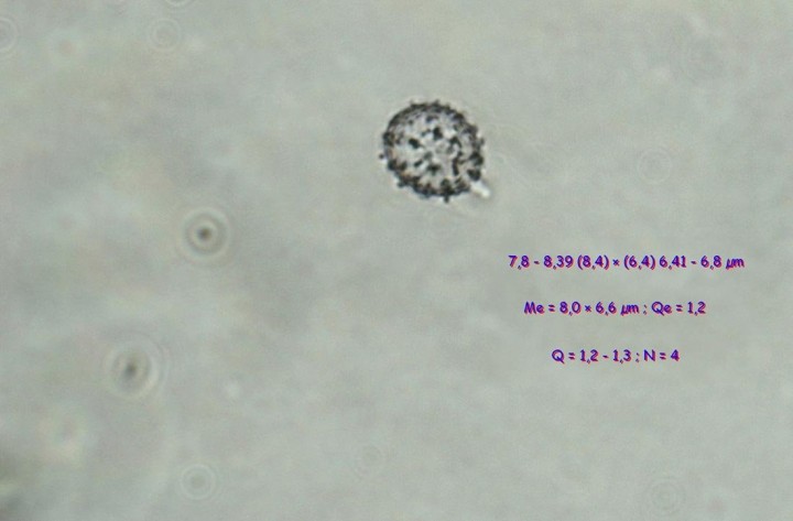 2021-10-11-19.32.jpg