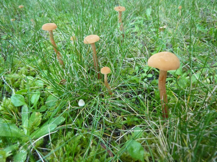 P1110719.JPG