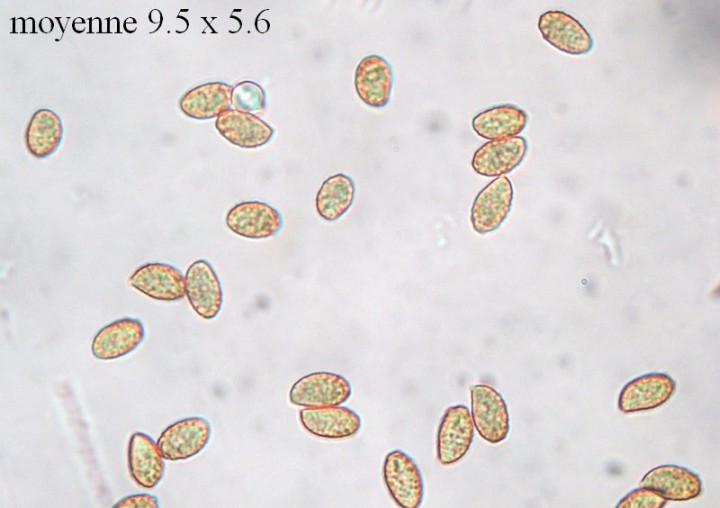 DSCF9775.JPG