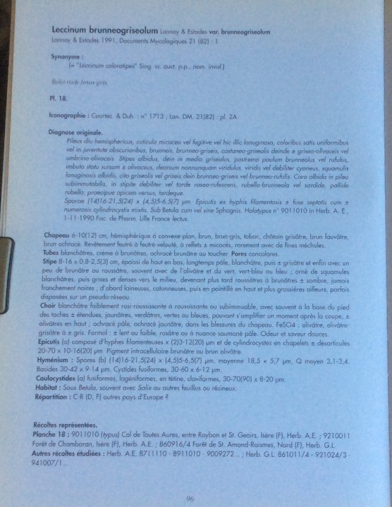 E2EB8139-6555-4D02-9AC1-25B4530A48EF.jpeg