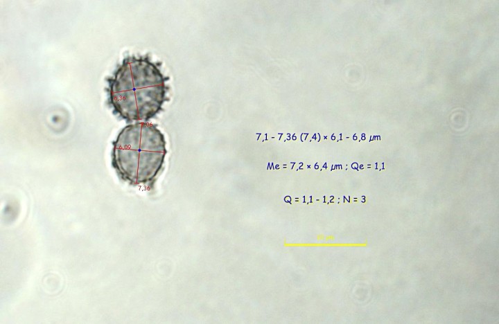 P00812PIXI168.jpg
