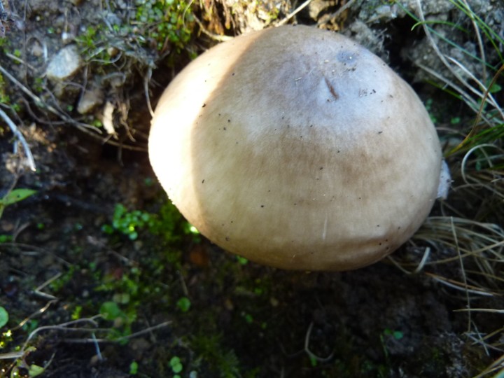 P1110756.JPG