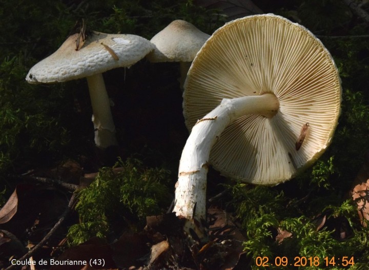 DSC_0488_01.JPG