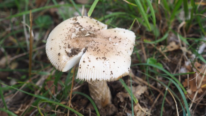 PA150105.JPG