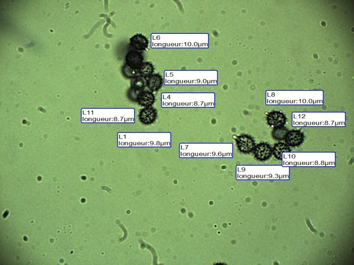 R. 2.jpg