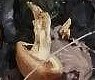 image000001.jpg