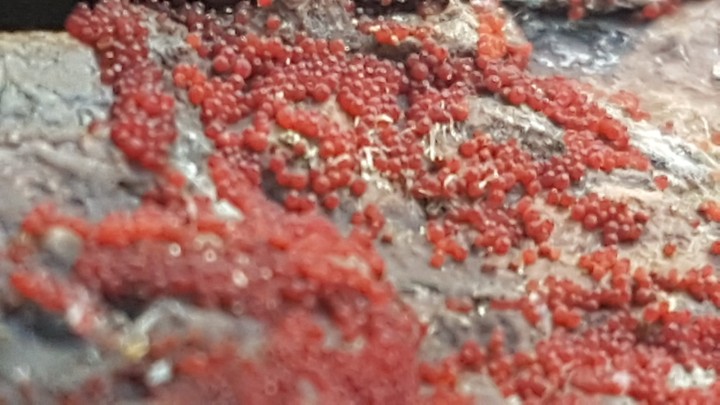20211019_170519.jpg