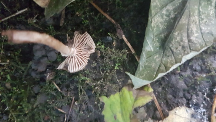 20211019_175427.jpg