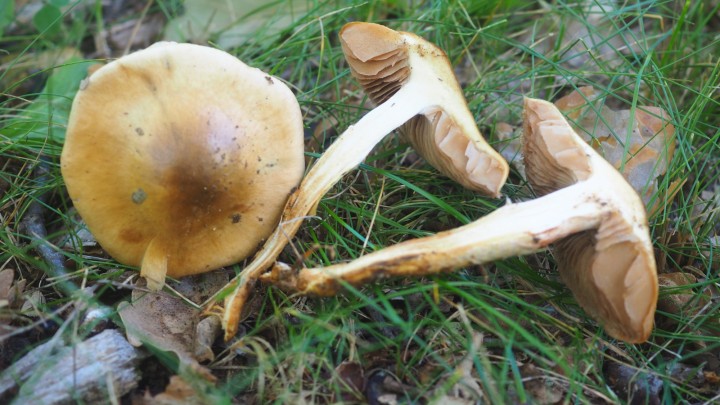 PA230013.JPG