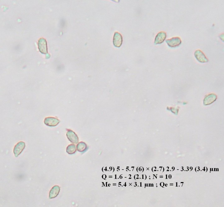 DSCF9870.JPG