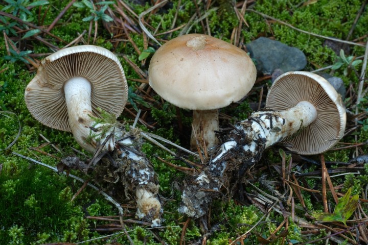 DSCF3469.JPG