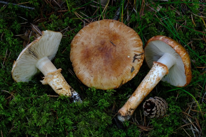 DSCF3481.JPG