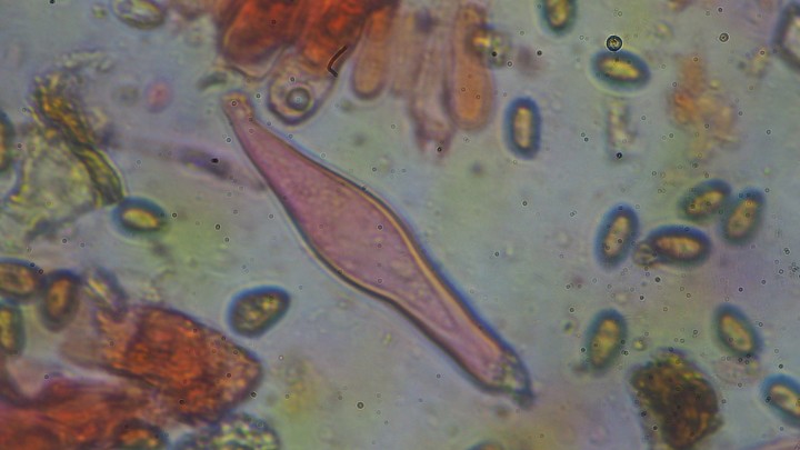 PA290057.JPG