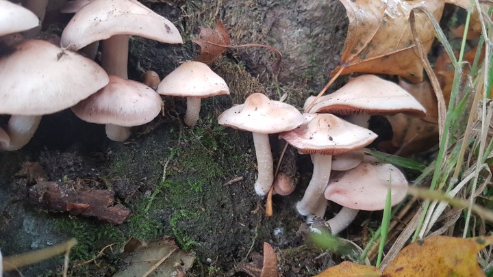 20211029_160343.jpg