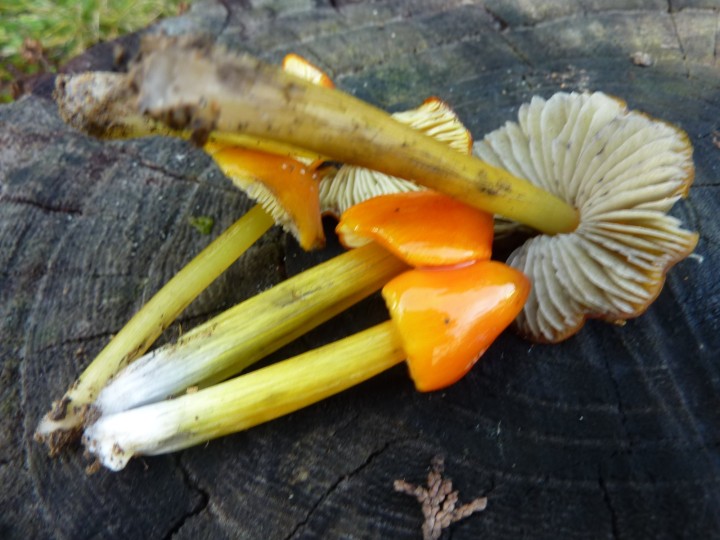 P1110954.JPG