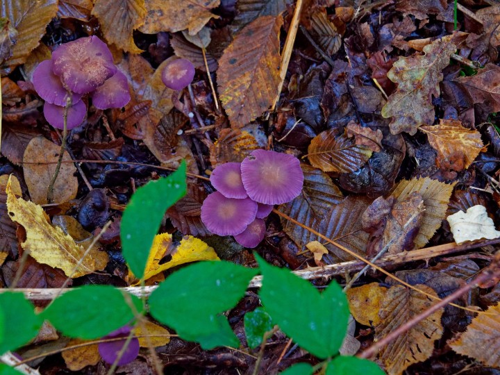 _1092752_DxO.jpg