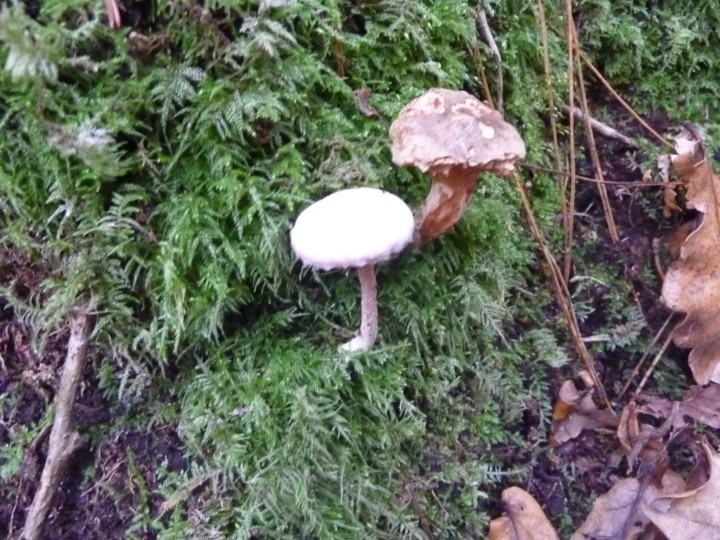 P1120114.JPG