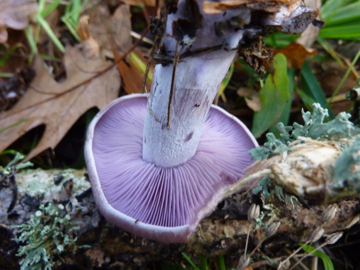 P1120156.JPG