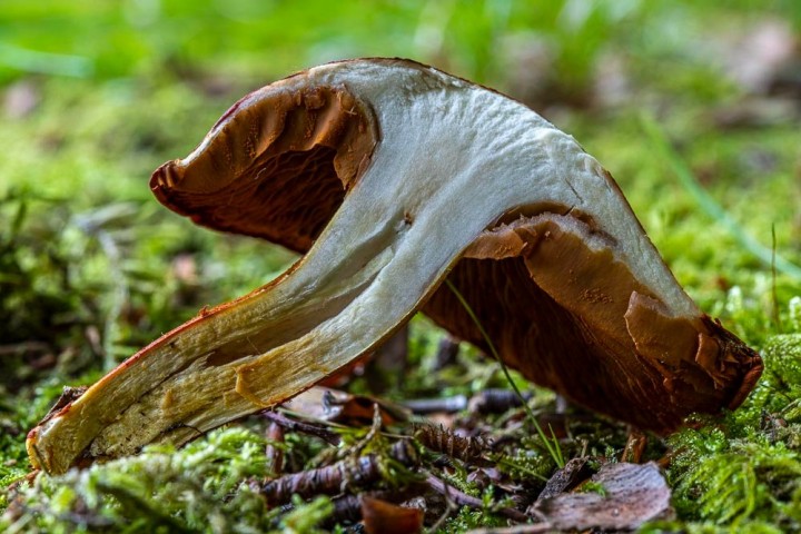 _DSC3654.jpg