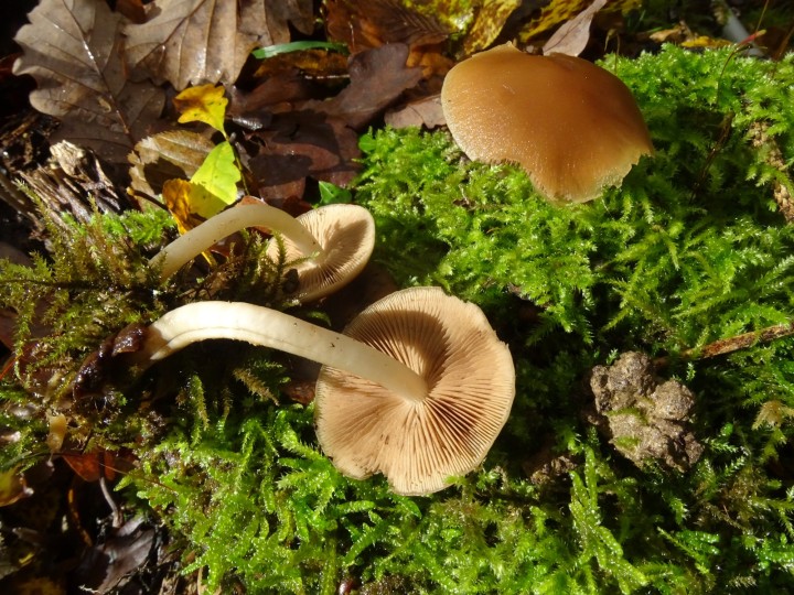 DSC02093.JPG