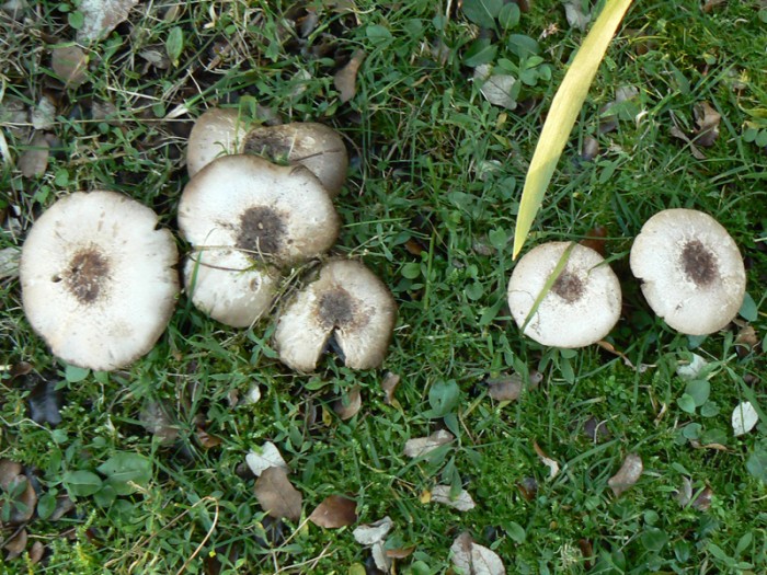 P1120033.jpg