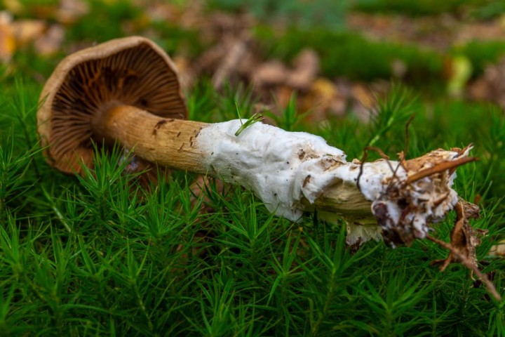 _DSC8277.jpg