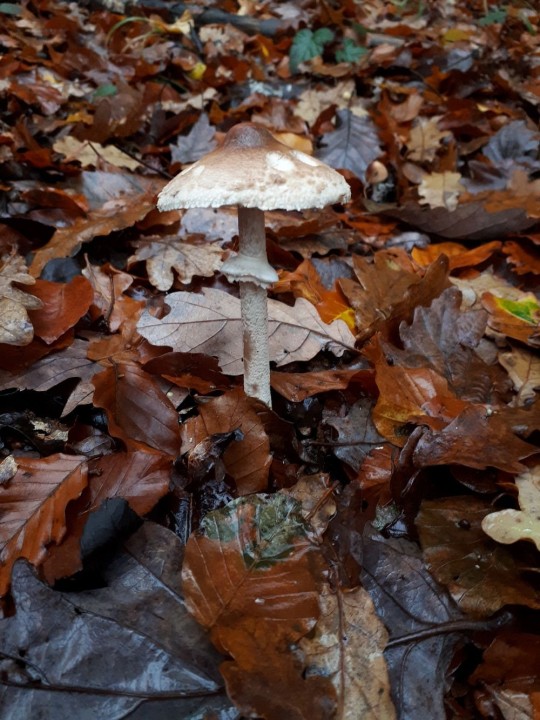 20211126_162916-2.jpg